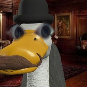 Meet your Posher, Heidi